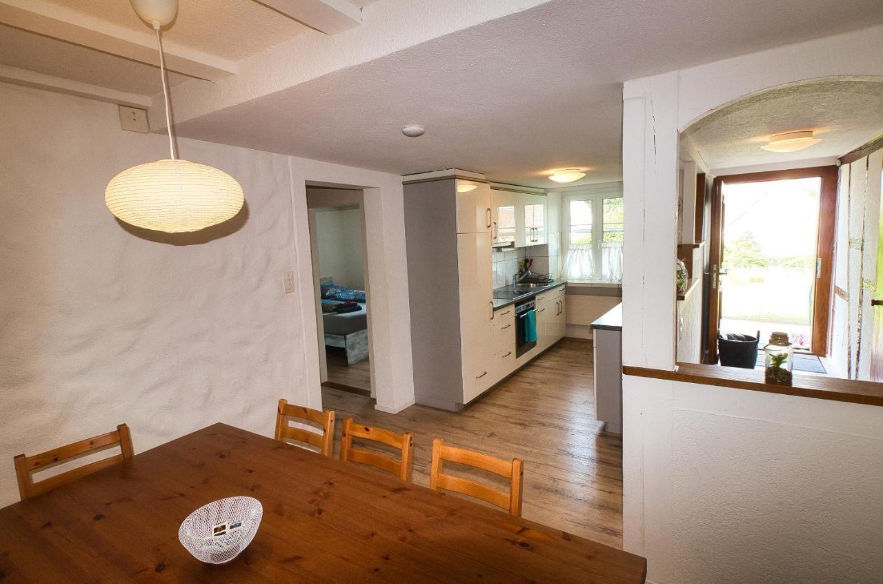 Cozy Apartment Close To Zurich Airport And City Oberglatt Eksteriør billede