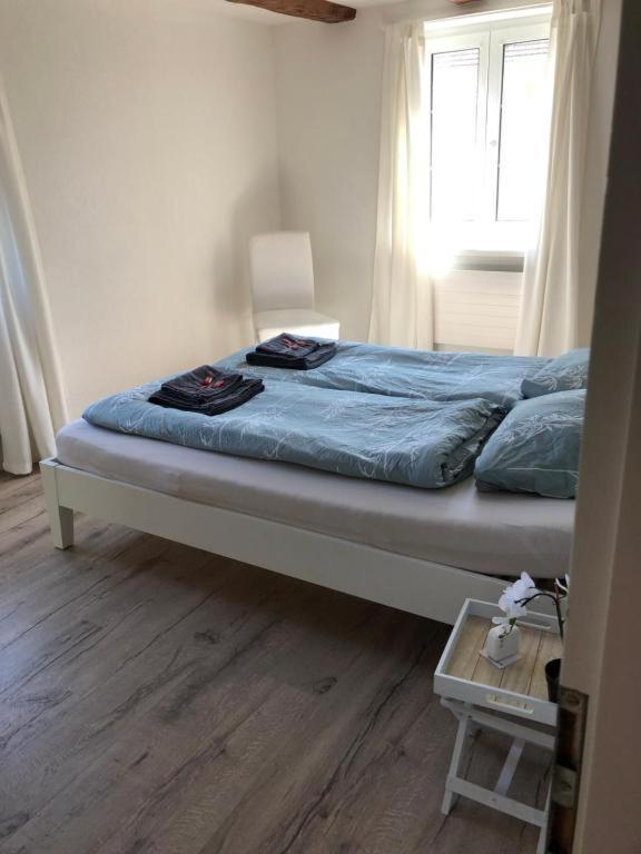 Cozy Apartment Close To Zurich Airport And City Oberglatt Eksteriør billede