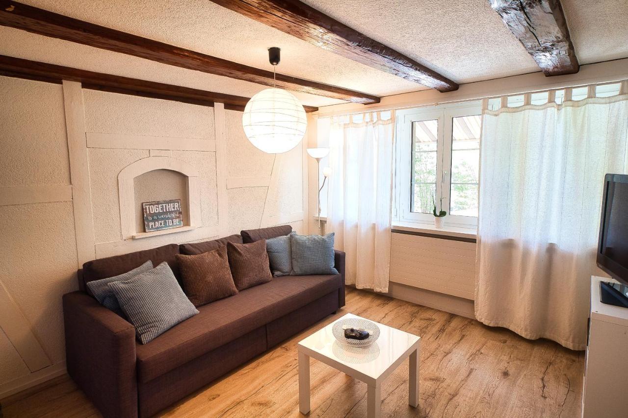 Cozy Apartment Close To Zurich Airport And City Oberglatt Eksteriør billede