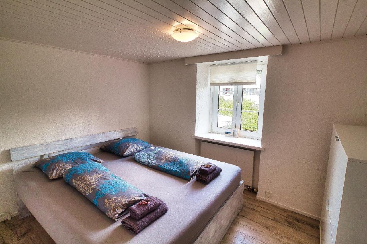 Cozy Apartment Close To Zurich Airport And City Oberglatt Eksteriør billede