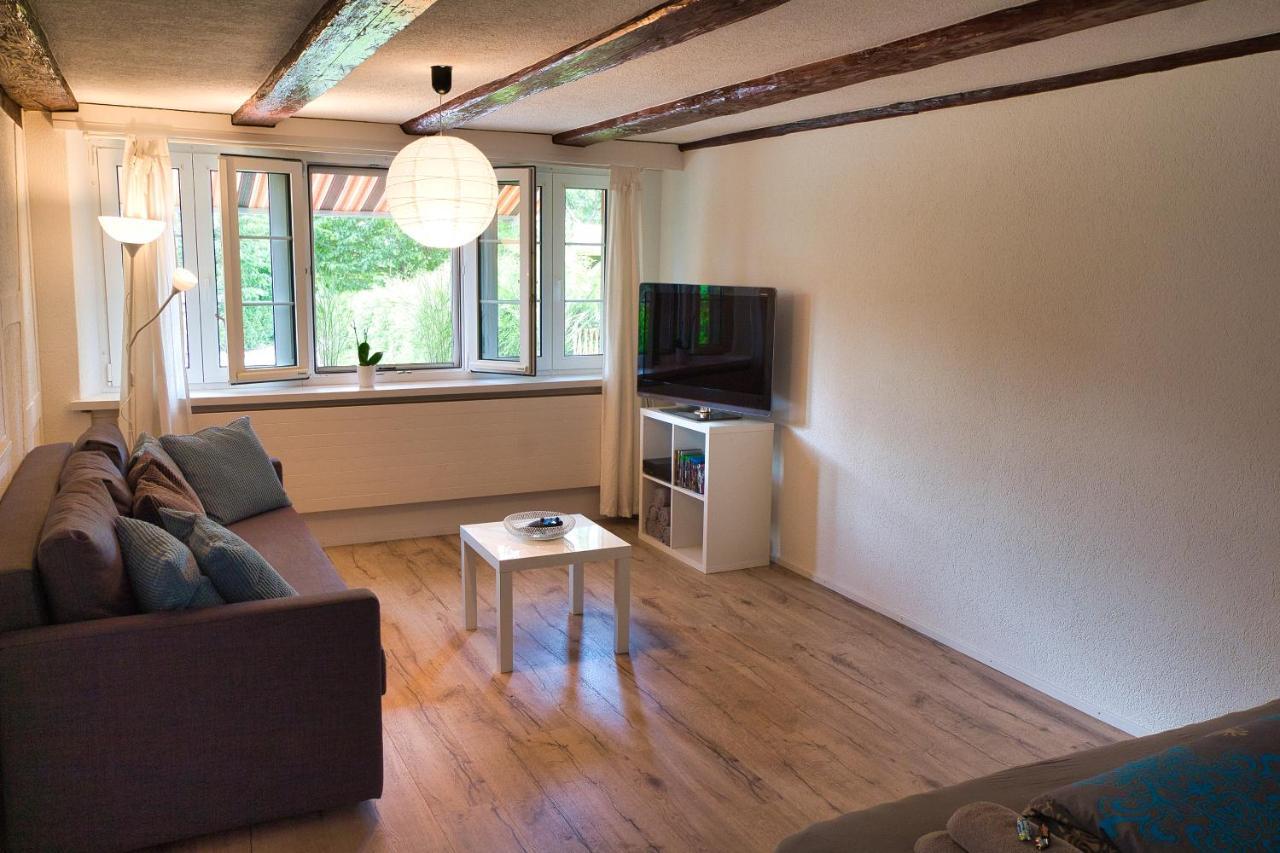 Cozy Apartment Close To Zurich Airport And City Oberglatt Eksteriør billede