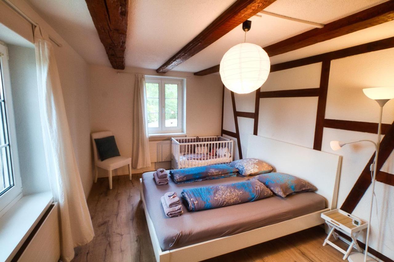 Cozy Apartment Close To Zurich Airport And City Oberglatt Eksteriør billede