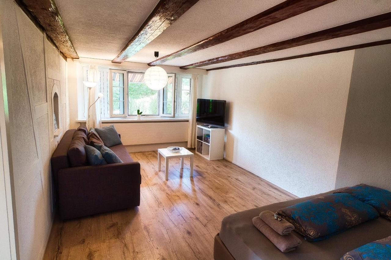 Cozy Apartment Close To Zurich Airport And City Oberglatt Eksteriør billede
