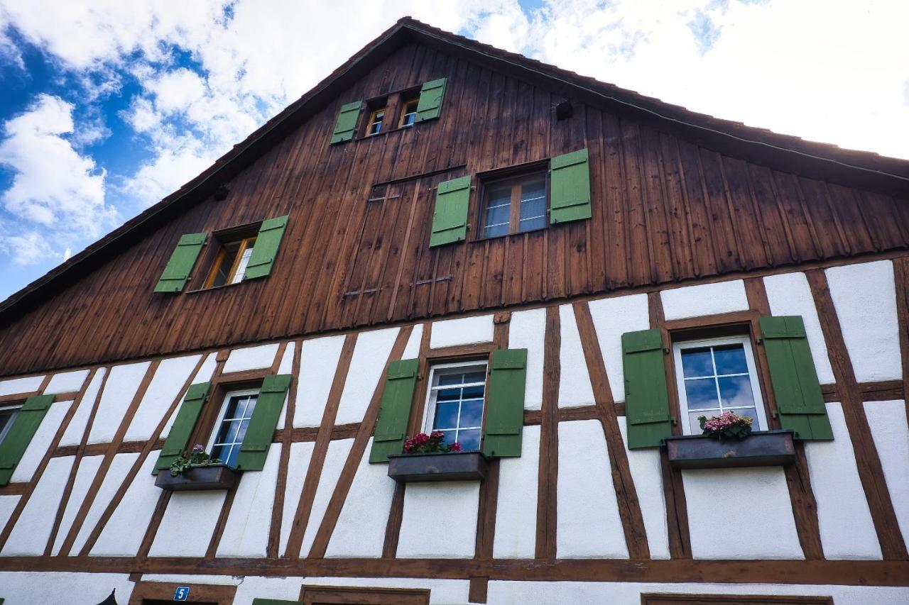 Cozy Apartment Close To Zurich Airport And City Oberglatt Eksteriør billede