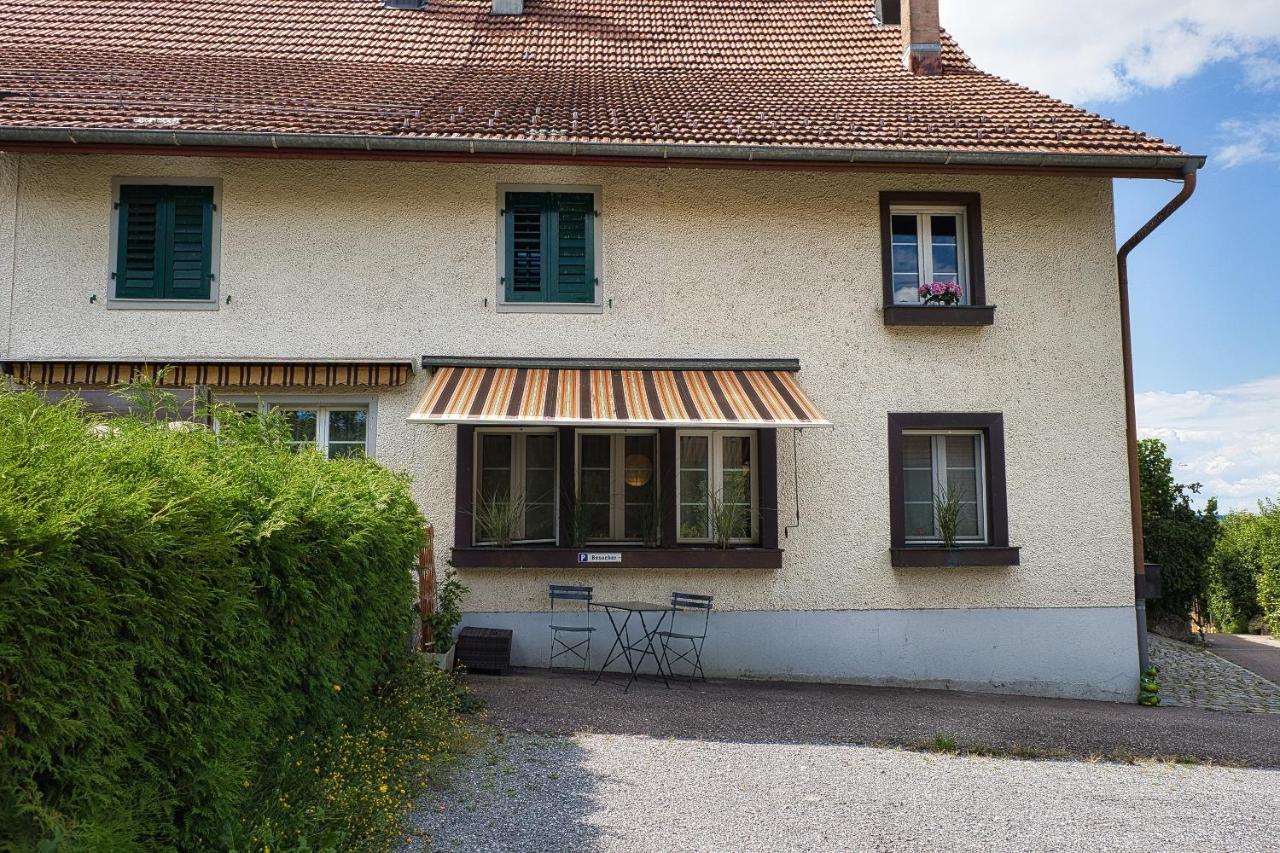 Cozy Apartment Close To Zurich Airport And City Oberglatt Eksteriør billede