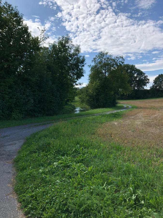 Cozy Apartment Close To Zurich Airport And City Oberglatt Eksteriør billede